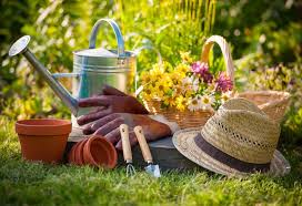 35 best gift ideas for gardeners