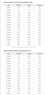 German Shepherd Weight And Height Chart Bedowntowndaytona Com