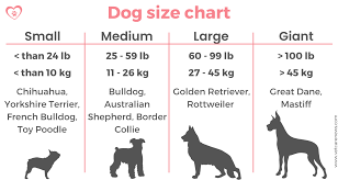 dog sizes