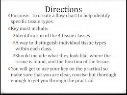 Flow Chart Tissues Ppt Download