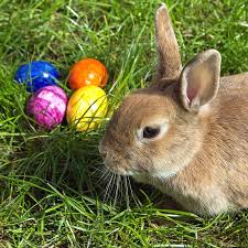 Easter Bunny - Wiktionary, the free dictionary