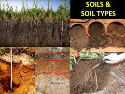 ppt soils soil types powerpoint