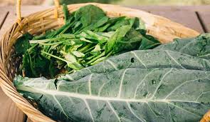 cold weather crops which vegetables