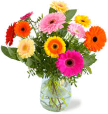 Online bloemen bestellen voor Oma - Cadeau voor Oma.nl