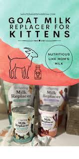3 reasons to use goat milk for kittens