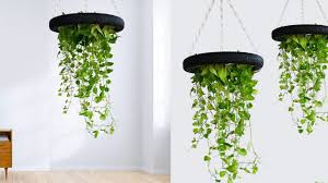 Diy Money Plant Hanging Planter From