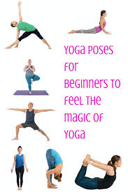 yoga poses for beginners to feel the