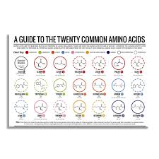 Nii Common Amino Acids Chemical Formula Chart For Doctors