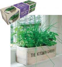 Fresh Herbs For Your Kitchen New