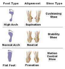 Chart of different feet