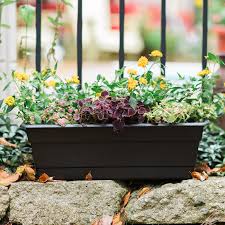 We did not find results for: Bloem Living Window Boxes