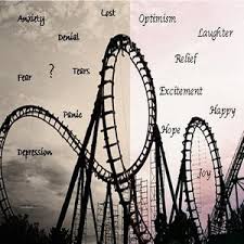 Image result for rollercoaster depression