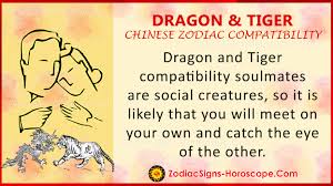 It is by far the best relationship from the chinese zodiac. Dragon And Tiger Chinese Zodiac Compatibility Love And Relationship