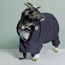Image result for goat in a suit