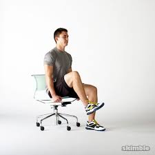 seated knee raises exercise how to