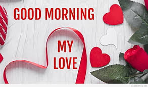 good morning my love hd wallpapers pxfuel