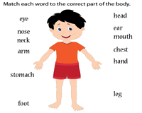 Students can read a short sentence or paragraph and connect the. Parts Of The Body Worksheets