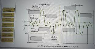 lung volume and lung capacity labels