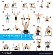 workouts weight training vector image