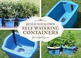 Build Your Own Self Watering Containers