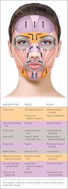 Botulinum Toxin Injection For Facial Wrinkles American