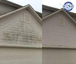 why mold grows on your vinyl siding and