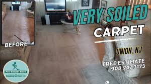 deep carpet cleaning transformation in