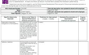Employee Roles And Responsibilities Template Excel Roles And