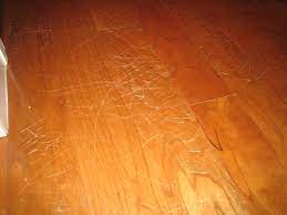 hardwood floors pets and scratches