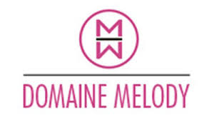 Résultat de recherche d'images pour "domaine melody facebook"