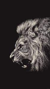 Black Lion iPhone Wallpapers - Top Free ...