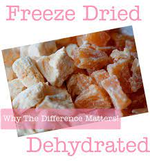 freeze dried or dehydrated foods how