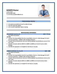 CV Formats and Examples
