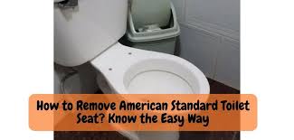 Remove American Standard Toilet Seat