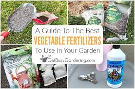 Best Fertilizer For Your Vegetable Garden