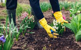 tips to prepare your garden for spring