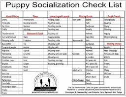 Click below for the new, fully printable puppy socialization checklist. Puppy Socialisation Puppy Socialization Puppies New Puppy