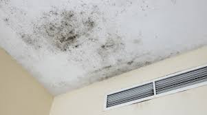 how to remove mold from popcorn ceilings