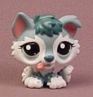 Posted at may 30, 2016 20:13 by netalie in puppy photos. Littlest Pet Shop 2036 Blue Green Baby Husky Puppy Dog With Aqua Blue Eyes White Face Rons Rescued Treasures