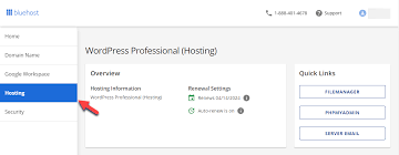 wp admin access bluehost