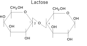 lactose molecule chemical and