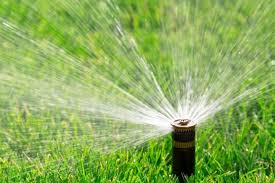 Best Practices For Watering Your Lawn
