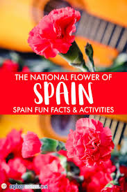 the national flower of spain the red