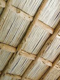 bamboo ceiling bamboocreation co
