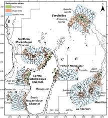 Find out information about mozambique channel. Frontiers A Comprehensive Survey Of Pelagic Megafauna Their Distribution Densities And Taxonomic Richness In The Tropical Southwest Indian Ocean Marine Science