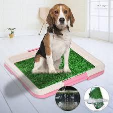 dog puppy indoor potty pad rug