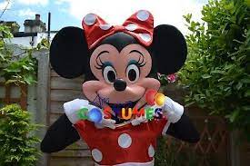 hire minnie mouse lookalike costume
