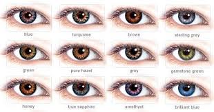 Hazel Color Chart Eye Color Odds Eye Color Wikipedia Natal