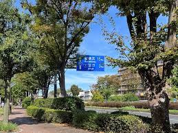 横浜環状２号を歩く 上永谷から新横浜 - 散歩の途中