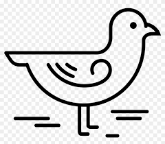Coloring pages for kids seagull coloring pages. Flying Seagull Coloring Page Pages Sheets Seagulls Coloring Book Free Transparent Png Clipart Images Download